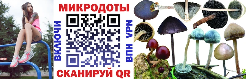 что такое   Серпухов  Псилоцибиновые грибы ЛСД 